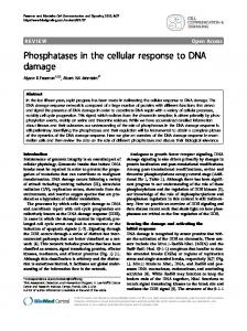 Phosphatases in the cellular response to DNA damage - ScienceOpen