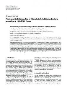 Phylogenetic Relationship of Phosphate Solubilizing Bacteria