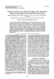 Positive Control of the Herpes Simplex Virus Thymidine Kinase Gene ...