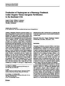 Production of Napiergrass as a Bioenergy Feedstock ... - Springer Link