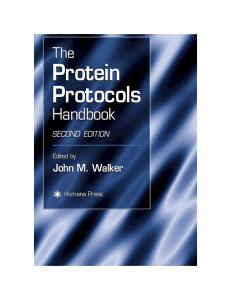 Protein Protocols Protein Protocols
