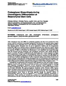 Proteoglycan Biosynthesis during Chondrogenic