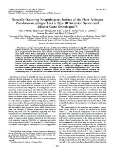 Pseudomonas syringae - Journal of Bacteriology - American Society