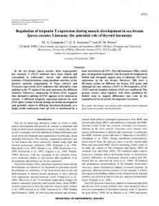 Regulation of troponin T expression during muscle development in ...