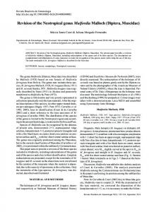 Revision of the Neotropical genus Mulfordia Malloch (Diptera ... - SciELO