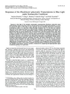 Rhodobacter sphaeroides - Journal of Bacteriology - American Society ...