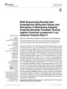 RNA Sequencing Reveals that Endoplasmic ... - Semantic Scholar