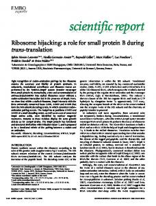 scientific report - Semantic Scholar