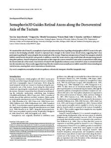 Semaphorin3D Guides Retinal Axons along the ... - Semantic Scholar