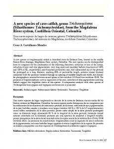 Siluriformes: Trichomycteridae - Portal de revistas Instituto de ...