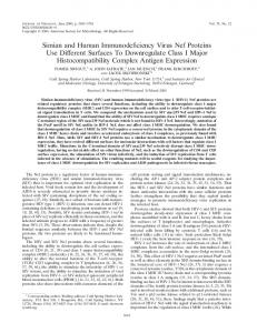 Simian and Human Immunodeficiency Virus Nef ... - Journal of Virology