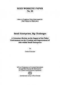 Small Enterprises, Big Challenges - ILO