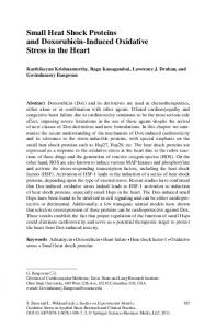 Small Heat Shock Proteins and Doxorubicin-Induced ... - Springer Link