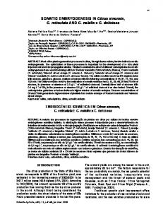 SOMATIC EMBRYOGENESIS IN Citrus sinensis, C