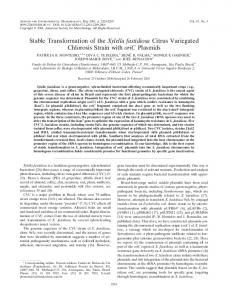 Stable Transformation of the Xylella fastidiosa Citrus Variegated ...
