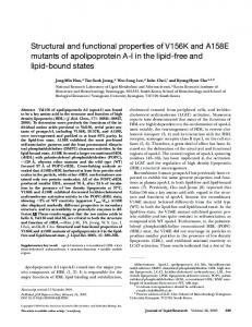 Structural and functional properties of V156K and A158E mutants of ...