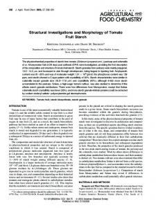 Structural Investigations and Morphology of Tomato Fruit Starch
