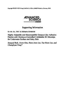 Supporting Information