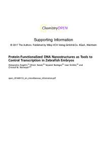 Supporting Information