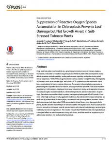 Suppression of Reactive Oxygen Species Accumulation in