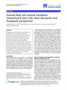 Synovial fluid and synovial membrane mesenchymal stem cells - Core