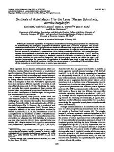 Synthesis of Autoinducer 2 by the Lyme Disease Spirochete, Borrelia ...