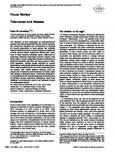 Telomeres and disease - BioMedSearch