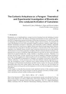 The Carbonic Anhydrase as a Paragon: Theoretical