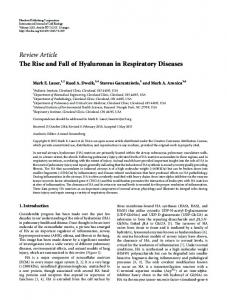 The Rise and Fall of Hyaluronan in Respiratory Diseases