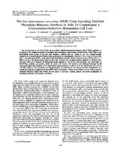 The Saccharomyces cerevisiae DPM1 Gene Encoding Dolichol-