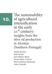 The sustainability of agricultural intensification in the early ... - SUFISA