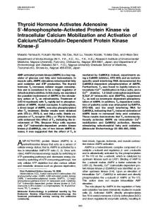 Thyroid Hormone Activates Adenosine 5 -Monophosphate-Activated ...