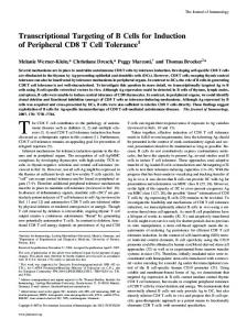 Tolerance Induction of Peripheral CD8 T Cell Transcriptional ...