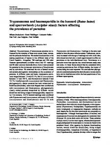 Trypanosomes and haemosporidia in the buzzard (Buteo buteo) and ...