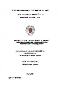 UNIVERSIDAD COMPLUTENSE DE MADRID - Biblioteca ...