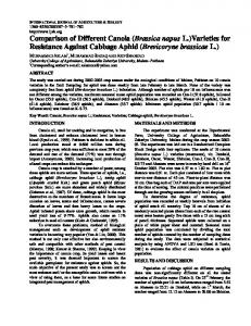 Varieties for Resistance Against Cabbage Aphid (Brevicoryne ...