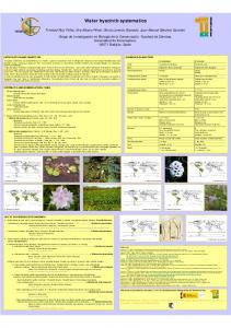 Water hyacinth systematics - EPPO