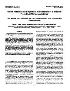 Water Relations and Hydraulic Architecture of a Tropical Tree ...