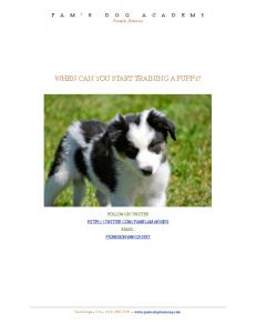 What age can you train a puppy - Pam's Dog Training