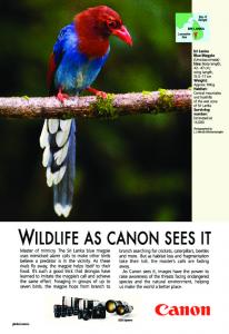 wildlife as canon sees it - Canon Global