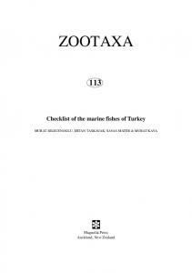 zootaxa - University of Pretoria